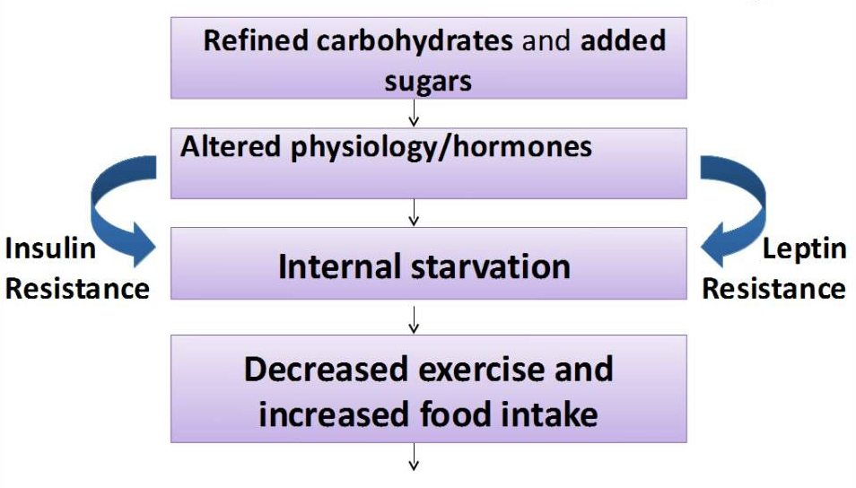 alternate view on sugar cycle