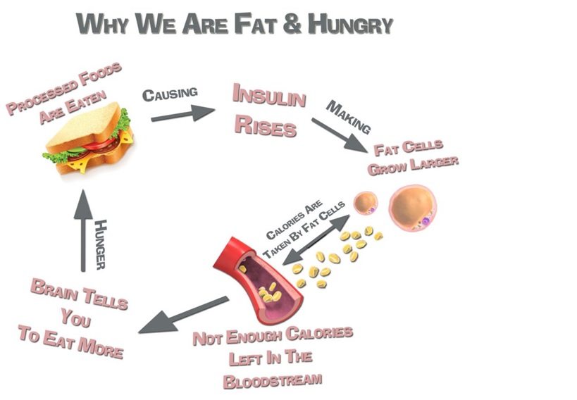 Foods To Eat After Liposuction Foods To Eat After Liposuction